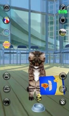 现实猫截图2