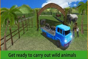 动物运输截图3