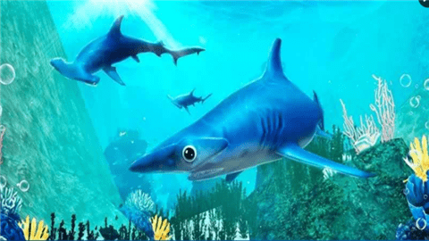 锤头鲨模拟3d截图2